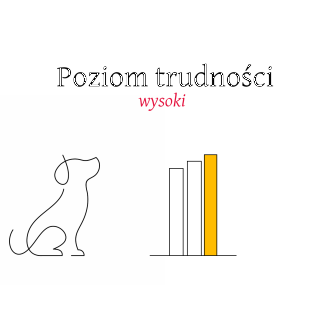 Żarówka Trigger Studio 4 - My shop 