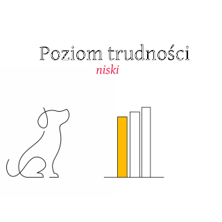 Pojemniki na zapach do umieszczenia w wycieraczce wys. 3,5cm Trigger Studio 6 - My shop 