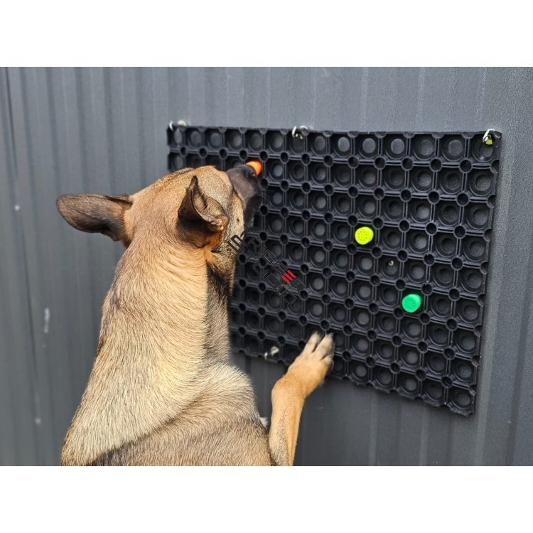 Wycieraczka z 5 pojemnikami na zapach w wys. 2,5cm Trigger Studio 1 - My shop 