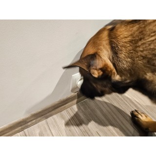 Pojemnik ładowarka Trigger Studio 4 - My shop 