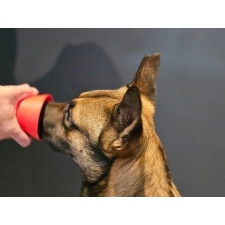 Kubek zapachowy idealny do misek skarmiających (i nie tylko) Trigger Studio 5 - My shop 