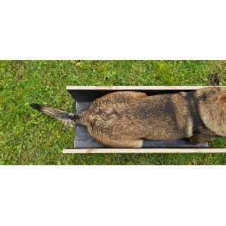 Skrzynka treningowa Trigger Studio 3 - My shop 