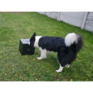 Skrzynka zapachowa Trigger Studio 10 - My shop 