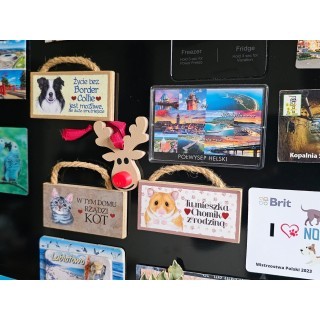 Pojemnik Rudolf do zawieszenia i na magnes (mini próbka) Trigger Studio 2 - My shop 