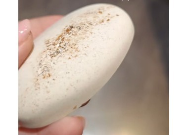 Kamień cynamonowy [product.brand] 1 - My shop 